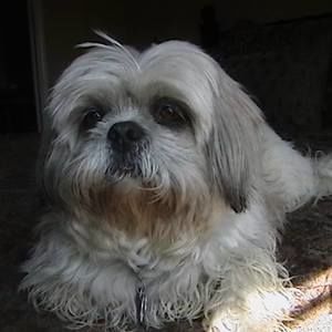 Meet your Posher, Jane